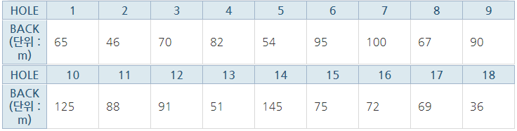 파인파골프클럽 파3